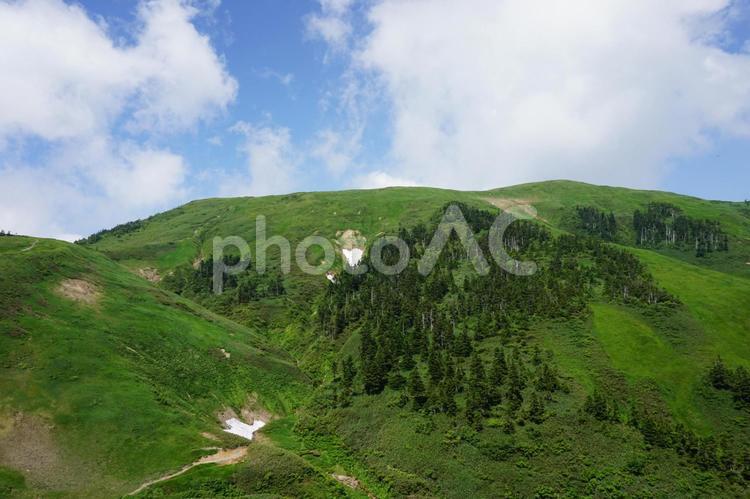 日本百名山　巻機山　避難小屋方面から山頂を望む 巻機山,巻機,山頂の写真素材