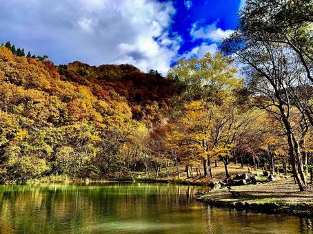 秋晴れ 秋,秋晴れ,晴れの写真素材