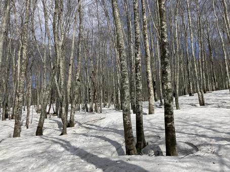 Climbing the snow-covered Mount Bandai 2, JPG Climbing the snow-covered Mount Bandai 2, JPG