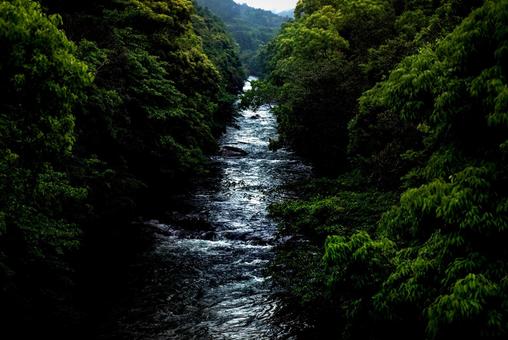 <素材>雨で増水した沢渓流と森の風景 <素材>雨で増水した沢渓流と森の風景 川,渓流,河川の写真素材