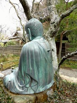 北鎌倉東慶寺境内に鎮座する仏像・背中側 東慶寺,仏像,銅像の写真素材