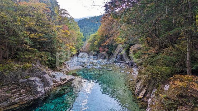 林に囲まれた美しい川 自然,川,山の写真素材