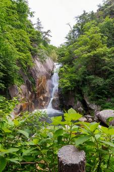 250527昇仙峡 山梨県,甲府市,昇仙峡の写真素材