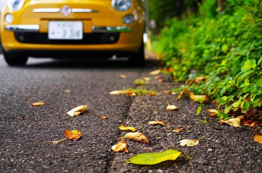秋の路面 秋の路面 車,外車,落葉の写真素材