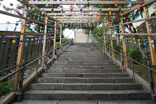 パワースポット 滋賀 西教寺⑲ 参道 パワースポット 滋賀 西教寺⑲ 参道 パワースポット,滋賀県,西教寺の写真素材