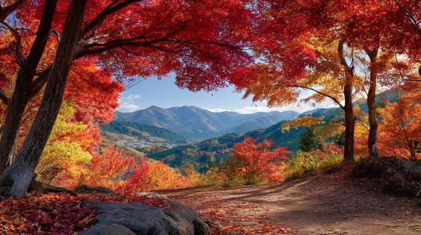 紅葉の秋 紅葉の秋の写真