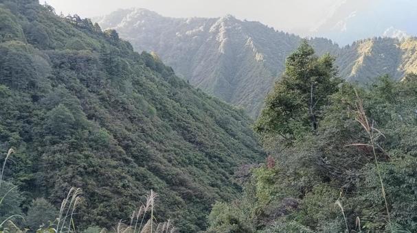 早朝の枝折峠 枝折峠,山,早朝の写真素材