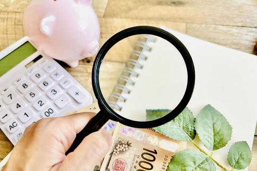 Investigating waste in the household budget, JPG