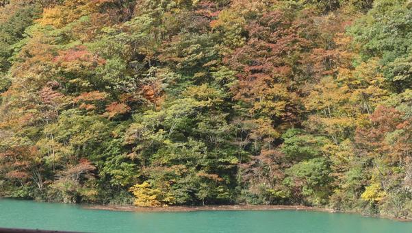 黒部峡谷に秋を訪ねて 秋,風景,自然の写真素材