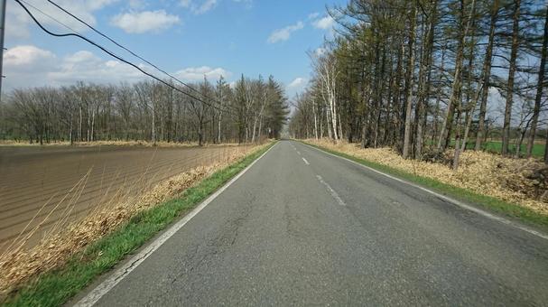 一本道 北海道,真っすぐ,道の写真素材