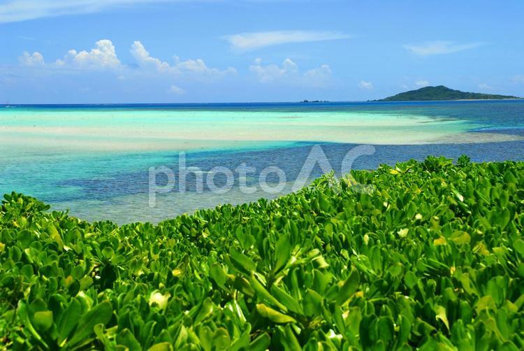 宮古島　リゾートイメージ バカンス,綺麗,休暇の写真素材