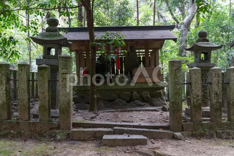 奈良　等彌神社　金比羅社 等彌神社,等彌,とみじんじゃの写真素材