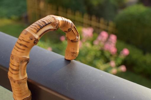 日傘の柄 日傘の柄の写真