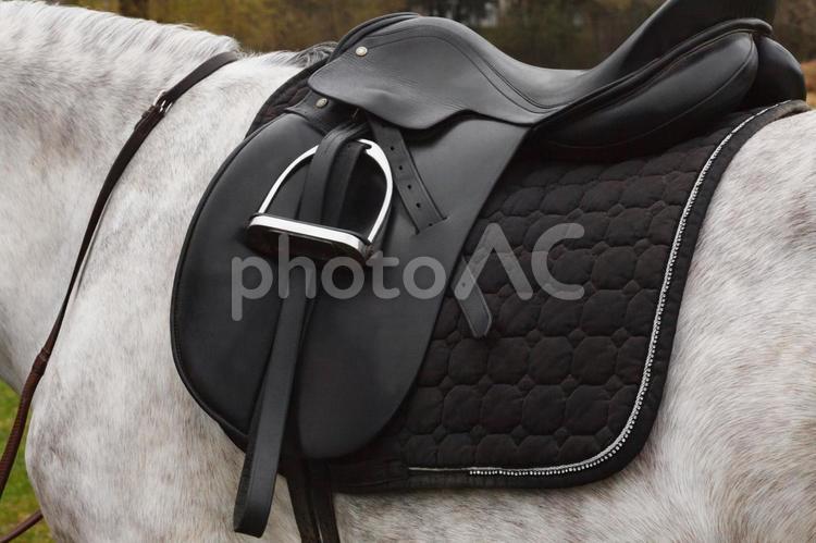鞍をつけた馬具をつけた白馬 アップ,上半身,黒の写真素材