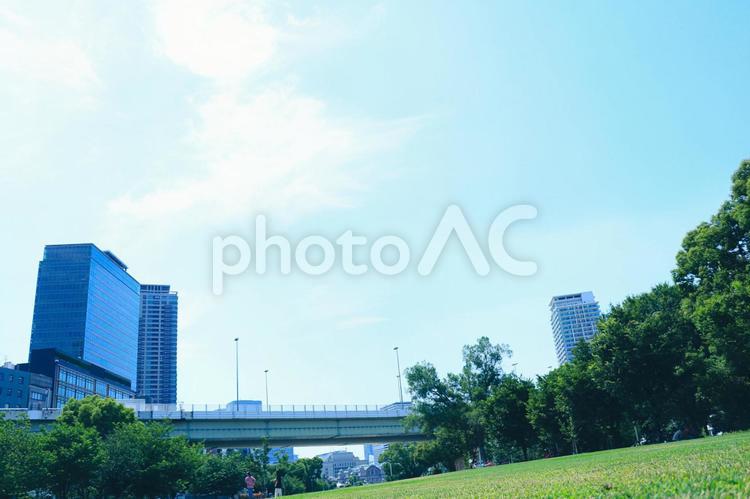 芝生の公園と青空 公園,青空,芝生の写真素材