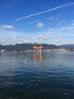 鳥居 鳥居の写真