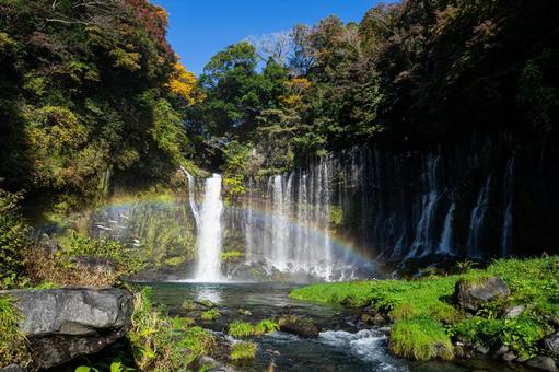 静岡 虹がかかる白糸の滝 白糸の滝,静岡,滝の写真素材