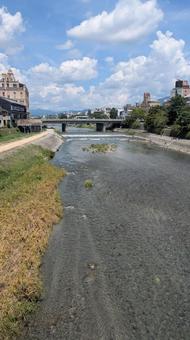 鴨川の風景 鴨川の風景の写真