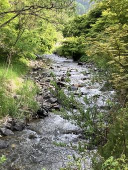 横河川 横河川 河川,水流,涼しげの写真素材