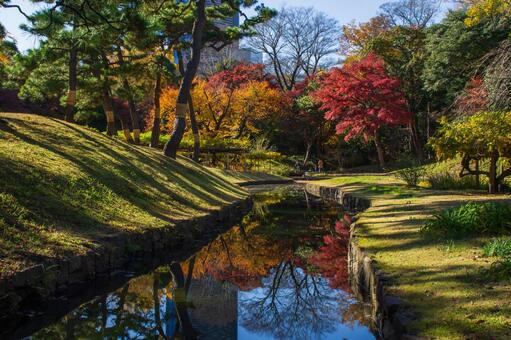 小石川後楽園 秋の風景 小石川後楽園,風景,秋の写真素材