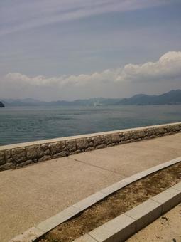 橋 橋の写真