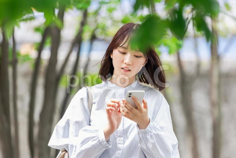 スマホを操作する若いビジネスウーマン 女性,ビジネス,スマホの写真素材