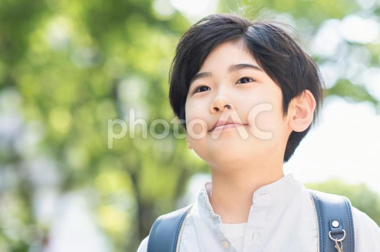 登校する小学生 登校,下校,歩くの写真素材