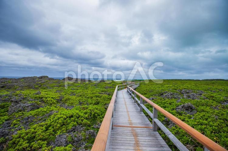 沖縄県・宮古島　通り池 沖縄,通り池,宮古島の写真素材