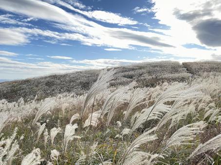 Photo, rinse, mountain, grassland, 
