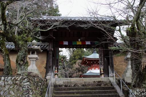 慈尊院 お堂,寺,二重の写真素材