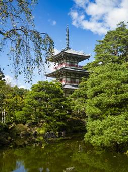 輪王寺庭園 輪王寺庭園の写真