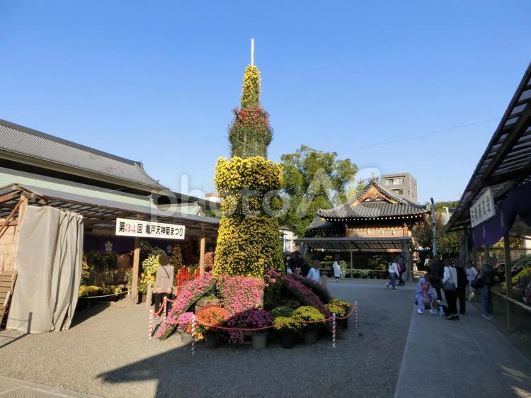 亀戸天神社の風景-10 亀戸天神社,東京都江東区亀戸,天満大神の写真素材