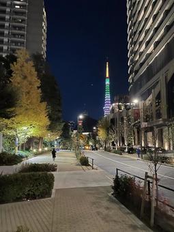 麻布台からの東京タワー 東京タワー,麻布台,夜景の写真素材