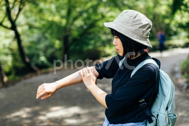 登山をする女性が日焼け止めを塗る 日焼け止め,日焼け止めクリーム,紫外線の写真素材