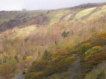 長野 松本 美ヶ原 長野 松本 美ヶ原 美ヶ原,観光地,日本百名山の写真素材