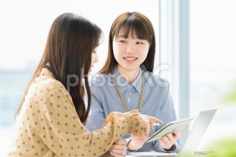 ミーティングをする2人のビジネスウーマン 女性,ビジネス,ミーティングの写真素材
