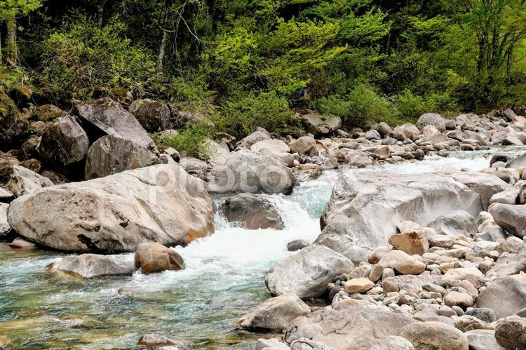 県名「石川」の由来となった手取川の上流 白山,手取川,国立公園の写真素材