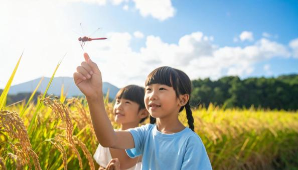 夏の終わり 稲穂の上を飛ぶ赤とんぼと子供 夏の終わり 稲穂の上を飛ぶ赤とんぼと子供の写真