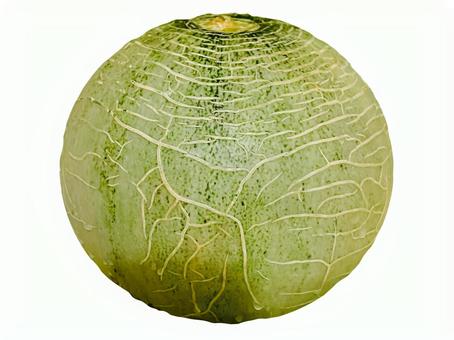 マスクメロンの写真素材 マスクメロン,フルーツ,果物の写真素材