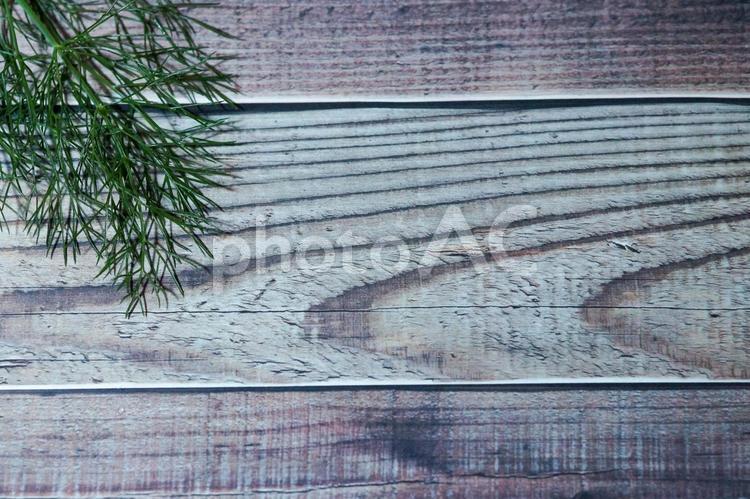 家庭菜園で収穫したばかりのフェンネル フェンネル,ハーブ,背景の写真素材