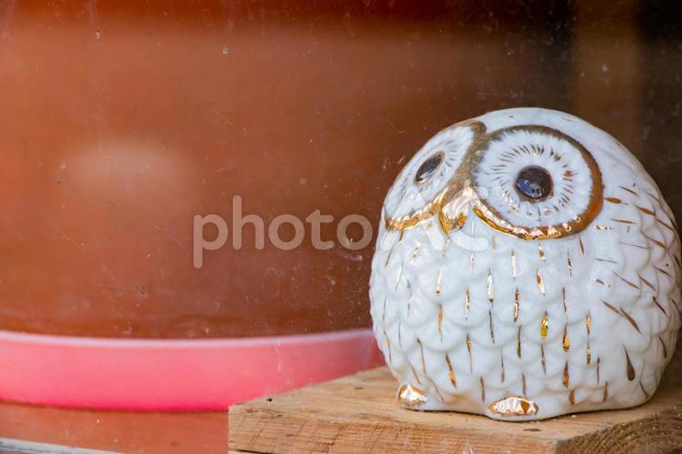 フクロウの置物 ふくろう,置物,小物の写真素材