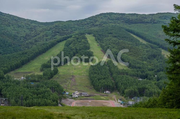 湯の丸高原周辺の景色 湯の丸高原,山,植物の写真素材