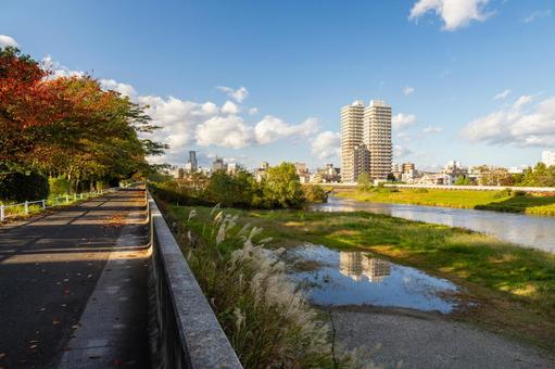 秋の広瀬川河畔 川,広瀬川,仙台市の写真素材