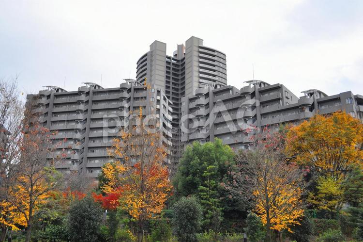 大規模マンション　紅葉 大規模マンション,マンション郡,紅葉の写真素材