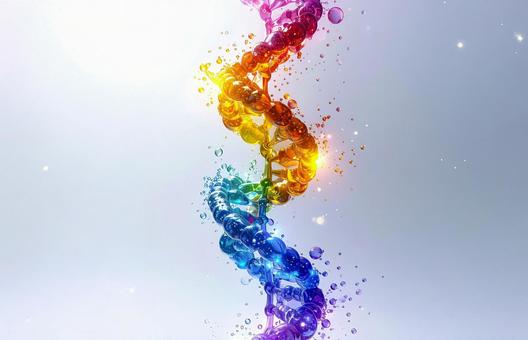 医療科学のDNA螺旋図 医療科学のDNA螺旋図の写真