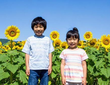 ひまわり畑と子供と青空 ひまわり畑と子供と青空の写真
