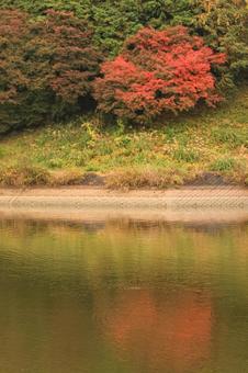 高滝駅 高滝湖,小湊鐵道,高滝駅の写真素材