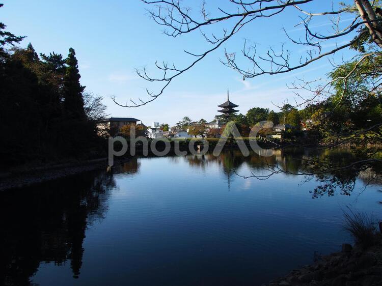 池に映る五重の塔 五重の塔,池,奈良の写真素材