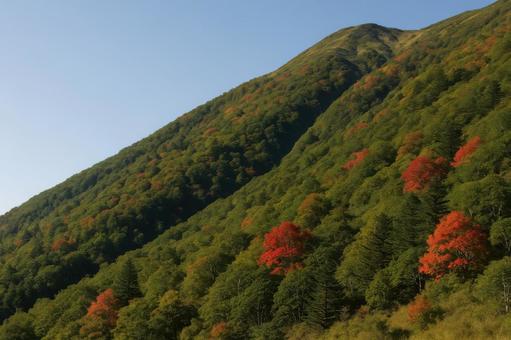 紅葉が始まる山の斜面と澄んだ空気 紅葉が始まる山の斜面と澄んだ空気の写真