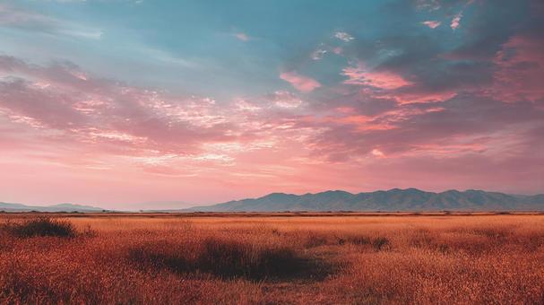穏やかな夕焼け空と広がる野原の風景 穏やかな夕焼け空と広がる野原の風景 草原,野原,夕焼けの写真素材